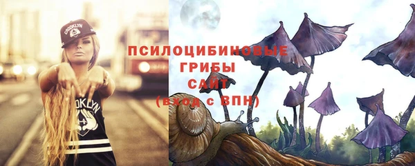 стафф Ростов