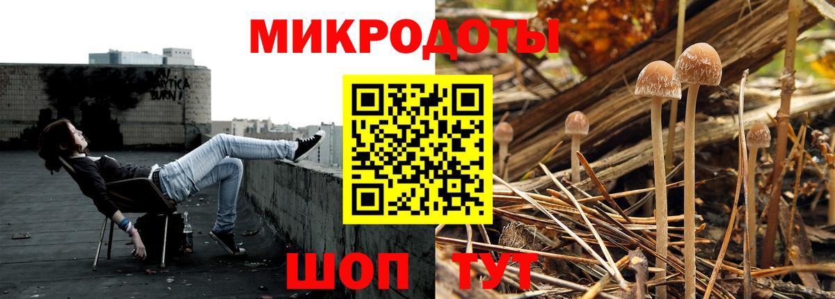 Кудымкар  Псилоцибиновые грибы Magic Shrooms  Вход с VPN 