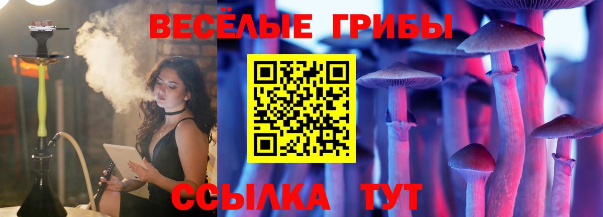 где купить   Кудымкар  Псилоцибиновые грибы MAGIC MUSHROOMS 